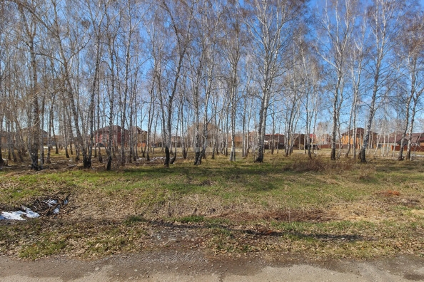 
  Продается земельный участок, 10 соток, Омск
. Фото 2.