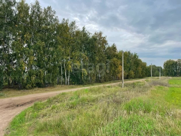 
  Продается земельный участок, 10.6 соток, село Усть-Заостровка
. Фото 4.