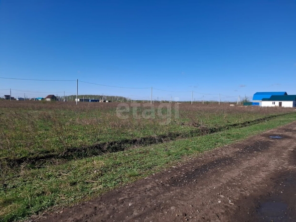 
  Продается земельный участок, 5 соток, село Ребровка
. Фото 3.