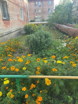 
  Продается 2-комн. квартира, 40.9 м², Константина Заслонова ул, д. 3
. Фото 4.