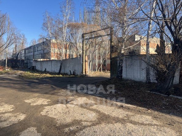 
  Сдается офис, 182 м², Молодежная 3-я ул, д. 81А
. Фото 14.