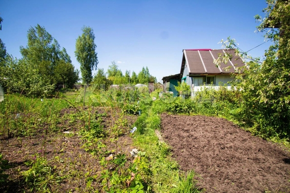 
  Продам  дачный участок, 8.2 соток, сдт Надежда-1 (Аэропорт)

. Фото 4.