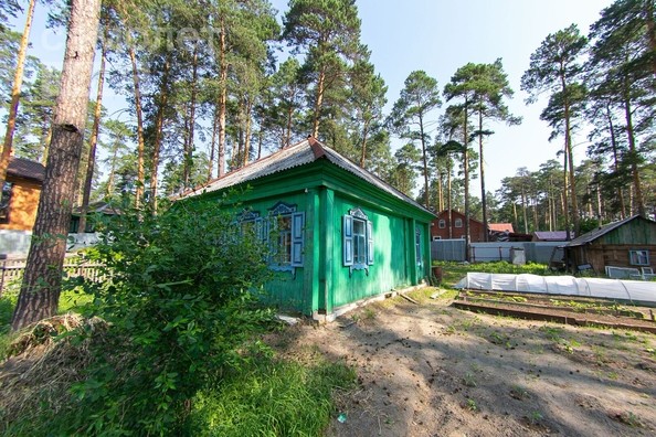 
  Продам  участок ИЖС, 13.6 соток, Тимирязевское

. Фото 16.