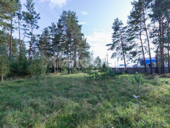 
  Продам  дачный участок, 14.4 соток, Курлек

. Фото 1.
