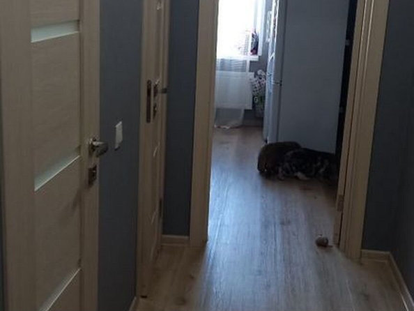 
  Продается 1-комн. квартира, 48.4 м², Калинина ул, д. 135
. Фото 22.