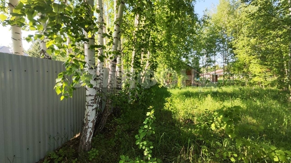 
  Продам  дачный участок, 13.2 соток, Синий Утёс

. Фото 4.
