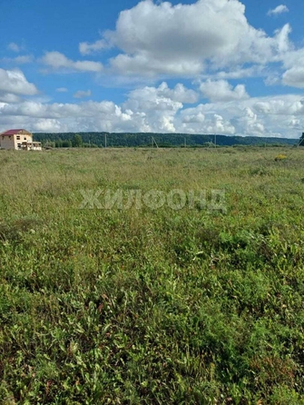 
  Продается земельный участок, 17.83 соток, поселок Чёрная Речка
. Фото 3.