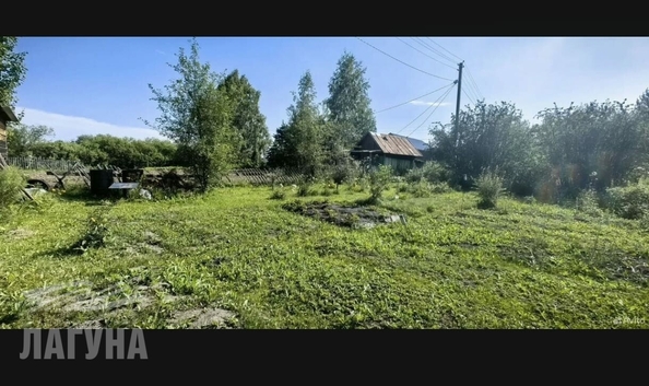 
  Продам  дачный участок, 5 соток, Томск

. Фото 2.