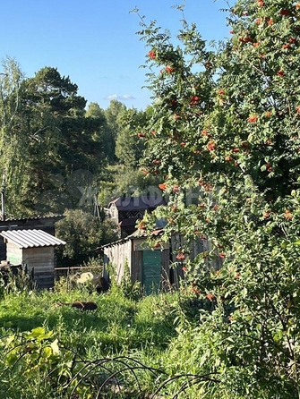 
  Продам  дачный участок, 2 соток, Томск

. Фото 2.
