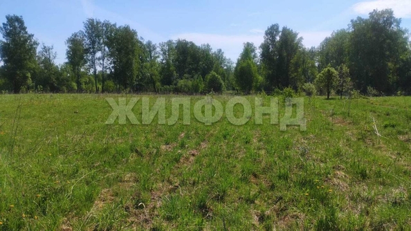 
  Продам  дачный участок, 12 соток, Томск

. Фото 3.