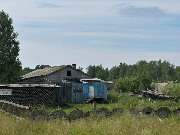 
  Продается дом, 56 м², село Наумовка
. Фото 2.