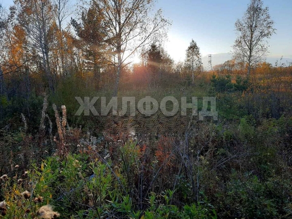 
  Продается земельный участок, 25 соток, село Лучаново
. Фото 1.