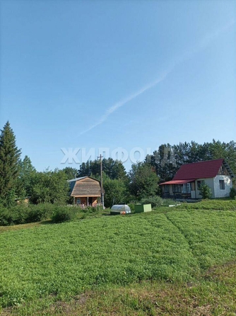 
  Продается земельный участок, 17 соток, село Корнилово
. Фото 5.