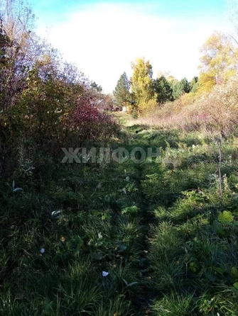 
  Продается дом, 60 м², село Кривошеино
. Фото 12.