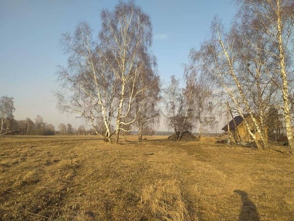 
  Продается земельный участок, 9.65 соток, село Курлек
. Фото 5.