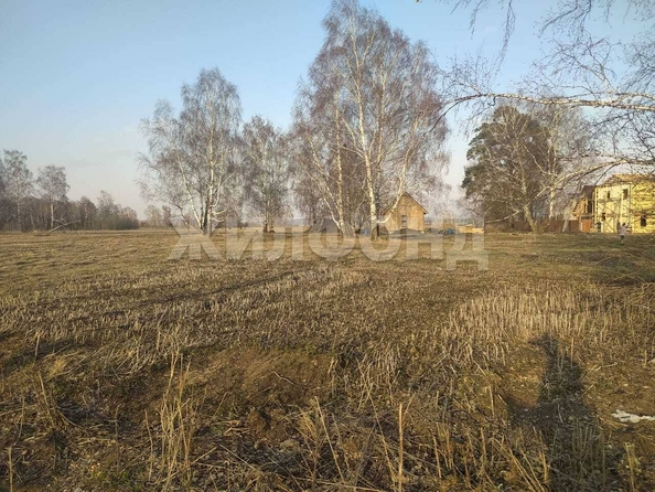 
  Продается земельный участок, 9.65 соток, село Курлек
. Фото 8.