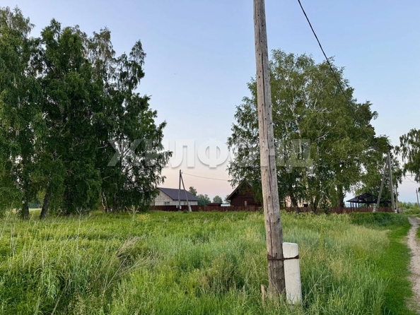 
  Продается земельный участок, 9.65 соток, село Курлек
. Фото 13.