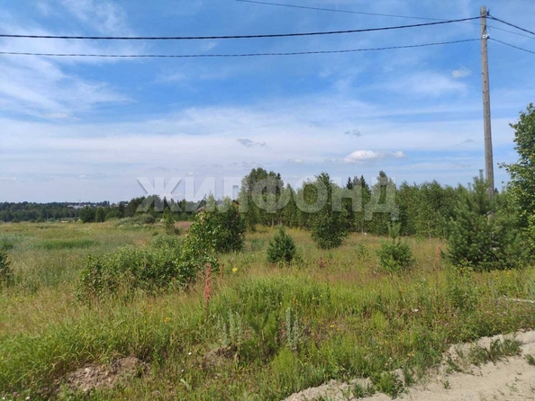 
  Продается земельный участок, 9.89 соток, село Корнилово
. Фото 2.