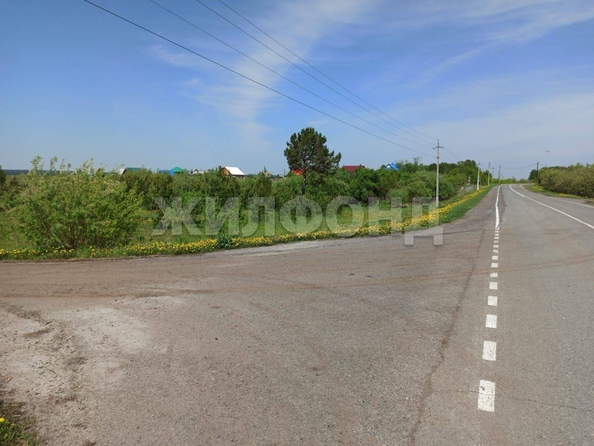 
  Продается земельный участок, 2480 соток, село Вершинино
. Фото 7.