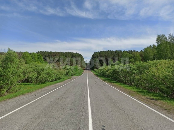 
  Продается земельный участок, 2480 соток, село Вершинино
. Фото 9.