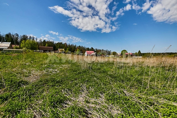 
  Продается дом, 39.4 м², поселок Плотниково
. Фото 8.