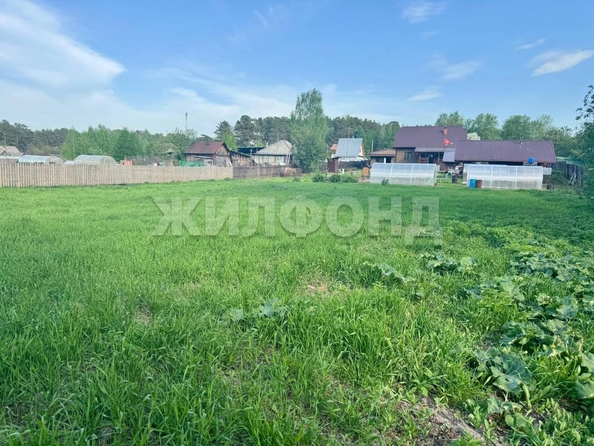 
  Продается земельный участок, 15 соток, село Курлек
. Фото 1.