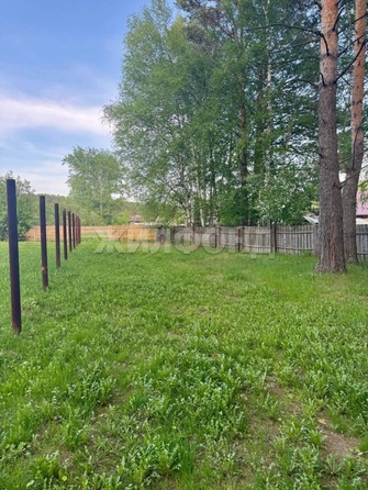 
  Продается земельный участок, 15 соток, село Курлек
. Фото 5.