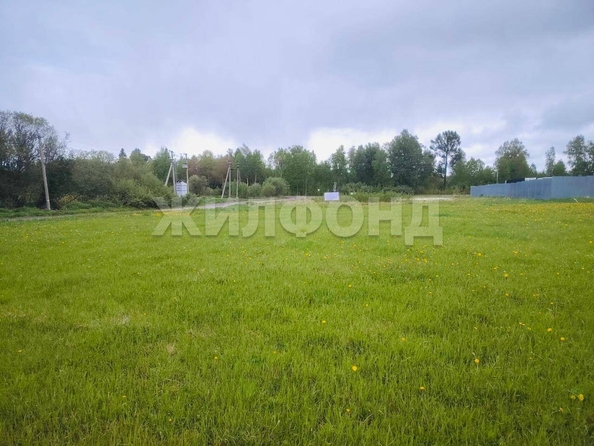 
  Продается земельный участок, 65 соток, деревня Лязгино
. Фото 3.