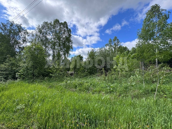 
  Продается земельный участок, 10 соток, село Коларово
. Фото 6.