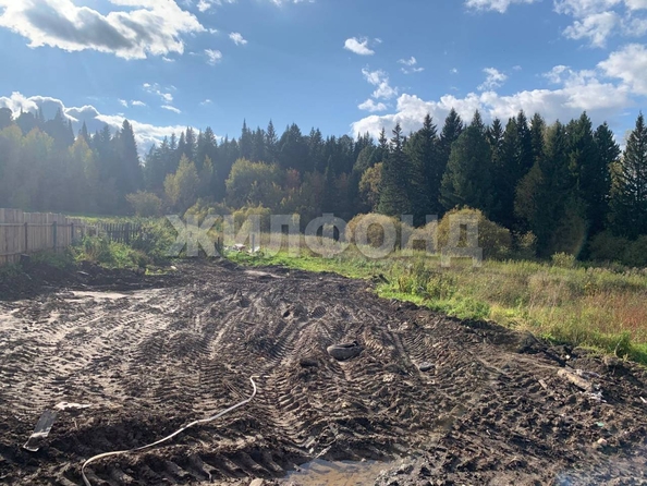 
  Продается земельный участок, 31 сотка, село Корнилово
. Фото 2.