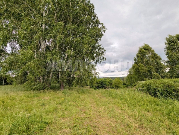 
  Продается земельный участок, 13.5 соток, село Вершинино
. Фото 8.