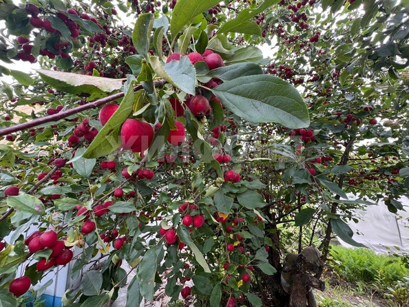 
  Продается дача, 14 м², Томск
. Фото 12.