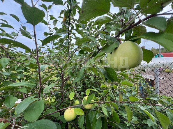 
  Продается дача, 14 м², Томск
. Фото 14.