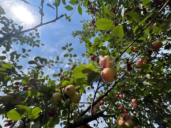 
  Продается дача, 14 м², Томск
. Фото 15.