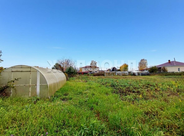 
  Продается дом, 31.9 м², село Моряковский Затон
. Фото 14.