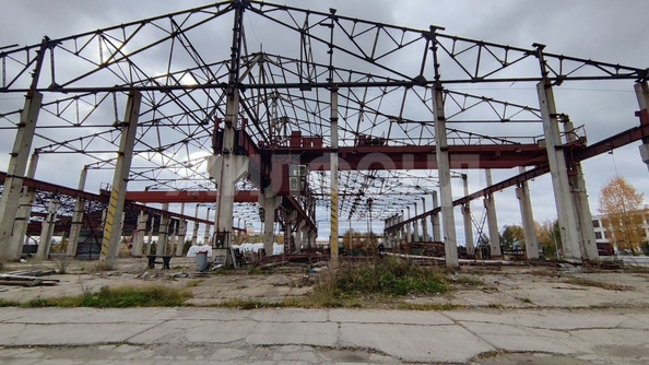 
  Продается производственное помещение, 100000 м², Кузовлевский тракт
. Фото 19.