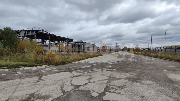 
  Продается производственное помещение, 100000 м², Кузовлевский тракт
. Фото 26.