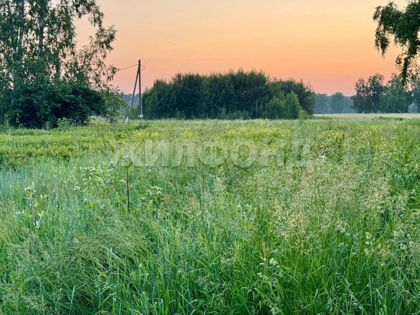 
  Продается земельный участок 9.65 соток. Фото 2.