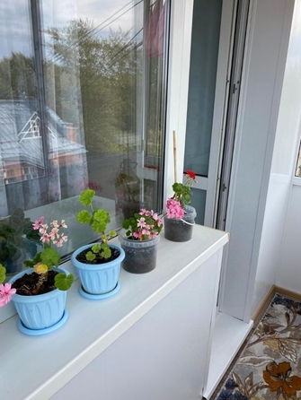 
  Продается 3-комн. квартира 56.6 м². Фото 20.