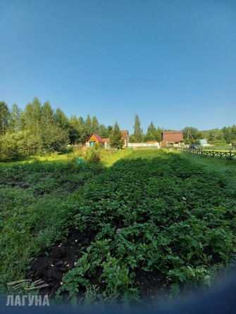 
  Продается дача 50 м². Фото 21.