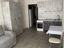 Снять однокомнатную квартиру Лесопарковая ул, 28 м², 23000 рублей