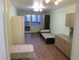 Снять однокомнатную квартиру Соколовская ул, 29.2  м², 21000 рублей