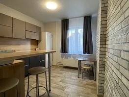 Снять однокомнатную квартиру Петра Подзолкова ул, 42  м&sup2;, 2500 рублей
