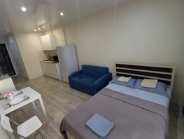 Снять однокомнатную квартиру Светлогорский пер, 33  м&sup2;, 2500 рублей