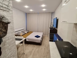 Снять однокомнатную квартиру Михайличенко проезд, 21  м&sup2;, 5310 рублей