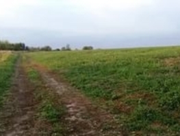 Участок, 46000 сот., Земля сельхозназначения