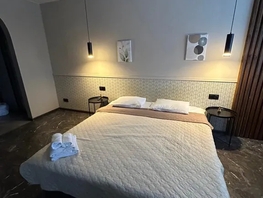 Снять однокомнатную квартиру Чехова ул, 28  м&sup2;, 2700 рублей