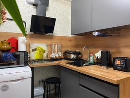 Снять однокомнатную квартиру Социалистический пр-кт, 30  м&sup2;, 2799 рублей