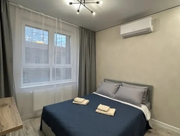 Снять однокомнатную квартиру Красноармейский пр-кт, 20  м&sup2;, 3380 рублей
