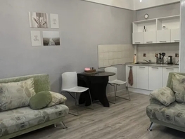 Снять однокомнатную квартиру Омулевского ул, 42  м&sup2;, 2400 рублей